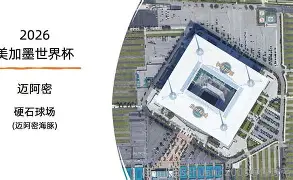 詹姆斯国际赛场得分